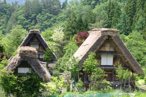 梅雨の季節こそ世界遺産 白川郷へ… 6