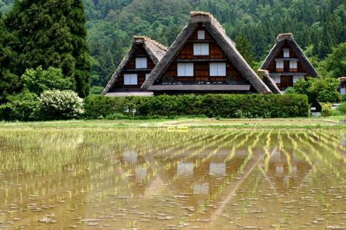 梅雨の季節こそ世界遺産 白川郷へ… 7