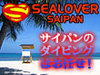 サイパンのダイビングは安心安全な日本人ベテランインストラクターが完全少人数制でご担当させて頂いております！ 観光や体験ダイビング、シュノーケルツアーも毎日開催しています！！！！