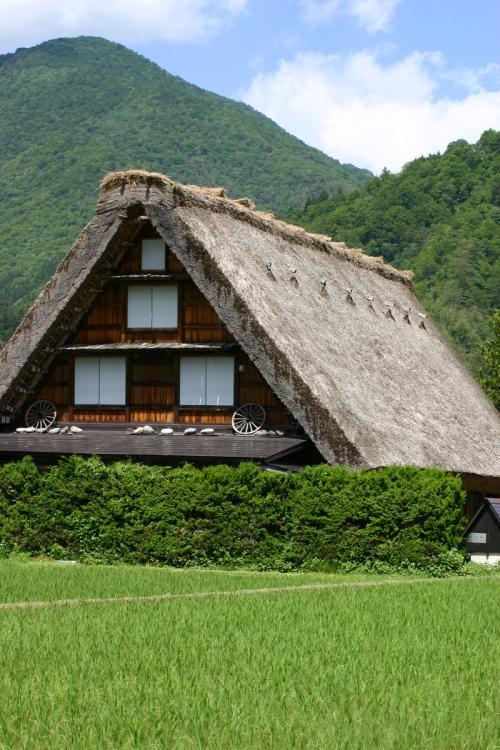 田園のなかに点在する合掌造りの民家2