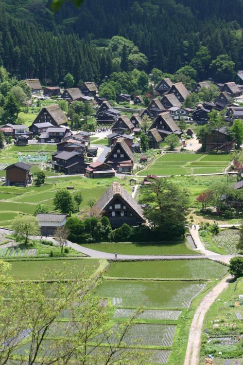 田園のなかに点在する合掌造りの民家4