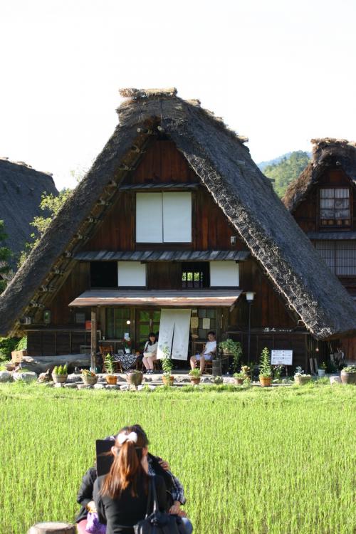田園のなかに点在する合掌造りの民家5
