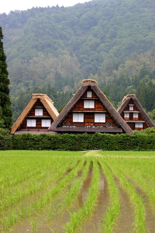 古き良き日本を感じる白川郷 4