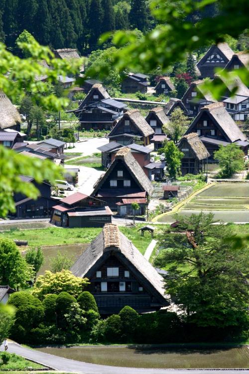 合掌造りと いで湯の郷 白川郷 2
