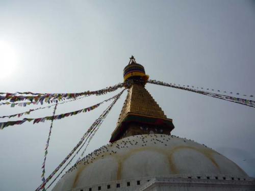 2014・06・26ボウダ8