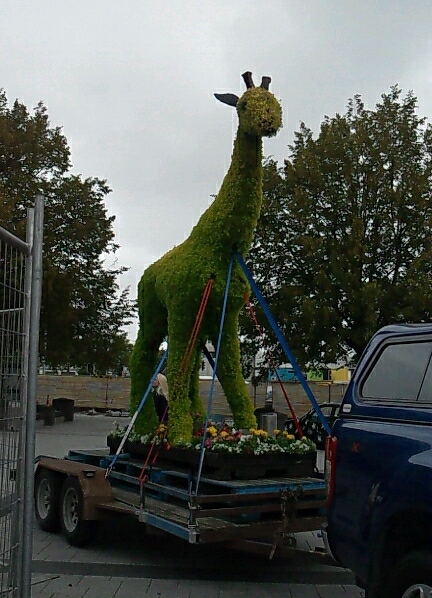 フラワーフェスティバルクライストチャーチ