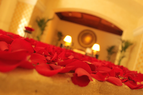 花びらが1枚も傷んでいません