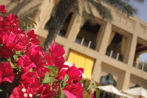 ランチのため庭に出て移動