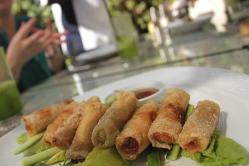 前菜の春巻き