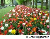 花のベルギー・フランダースを訪ねる