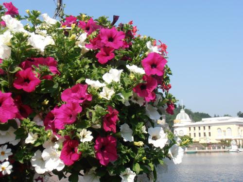 バニョル・ド・ロルヌ