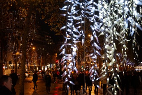 LED クリスマス シャンゼリゼ