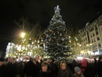 ヴルシュマルティ広場のクリスマスツリー