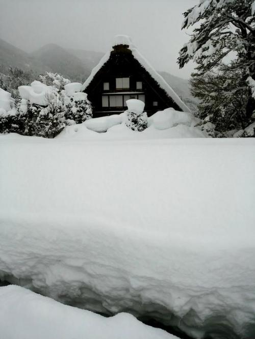 感動の冬に巡り会う旅 〜白川郷〜 5