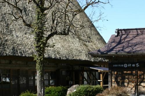 白川郷の春は遅く、ゆっくり 1