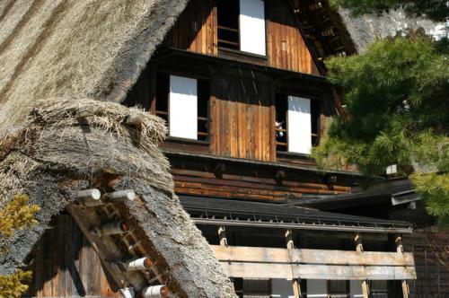 白川郷の春は遅く、ゆっくり 2