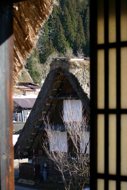 白川郷の春は遅く、ゆっくり 3