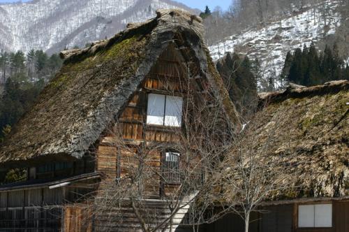 白川郷の春は遅く、ゆっくり 9