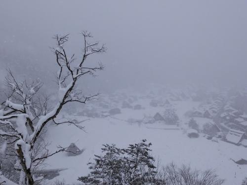 まだまだ雪景色を満喫できる白川郷に１