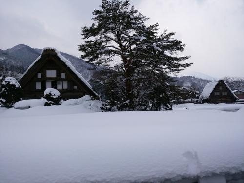 まだまだ雪景色を満喫できる白川郷に５