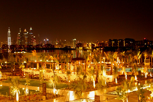 庭の椰子の木はまだ小さい