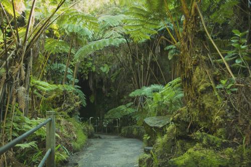 トンネル入り口