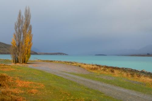 Tekapo-2354
