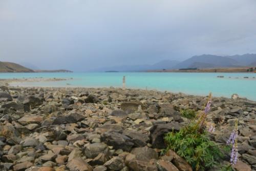 Tekapo-2356