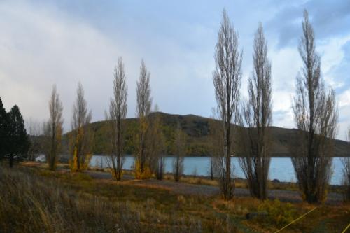 Tekapo-2365