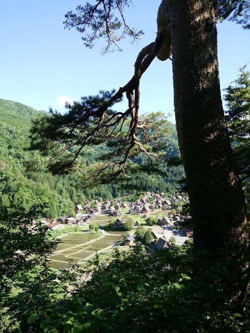 もうすぐ梅雨の季節 白川郷2
