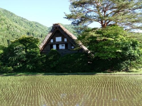 もうすぐ梅雨の季節 白川郷4