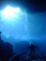 サイパン ダイビング ライセンス