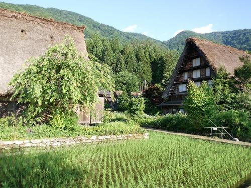 もうすぐ夏休み。この夏は、「白川郷」で5
