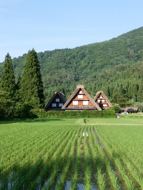 もうすぐ夏休み。この夏は、「白川郷」で7