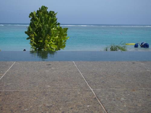 インフィニティ