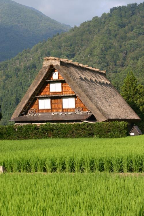 お盆明け残りの夏休みを白川郷で5