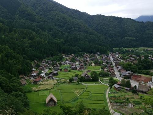 少しずつ暑さが和らぐこの季節!白川郷へ1