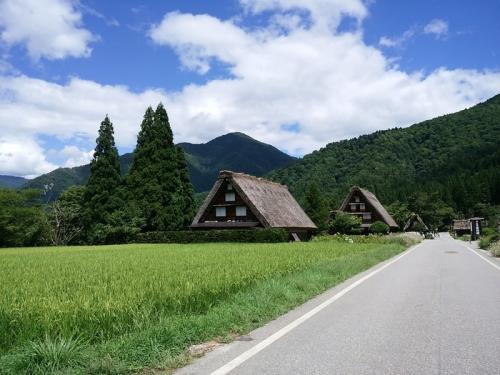 あっという間に夏の終わりに 1