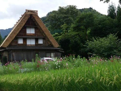 暑い夏も終わり、疲れもでるころですね3