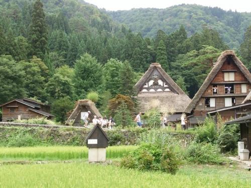 暑い夏も終わり、疲れもでるころですね5