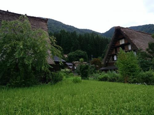 暑い夏も終わり、疲れもでるころですね6