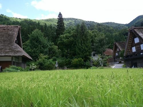 暑い夏も終わり、疲れもでるころですね7