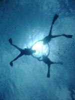 サイパン ダイビング ライセンス