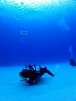 サイパン ダイビング