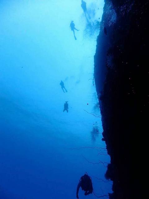サイパン ダイビング