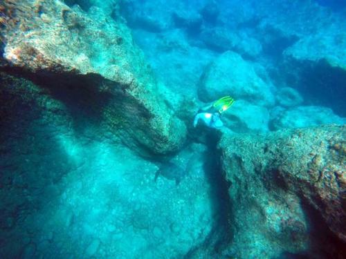 サイパン 体験ダイビング