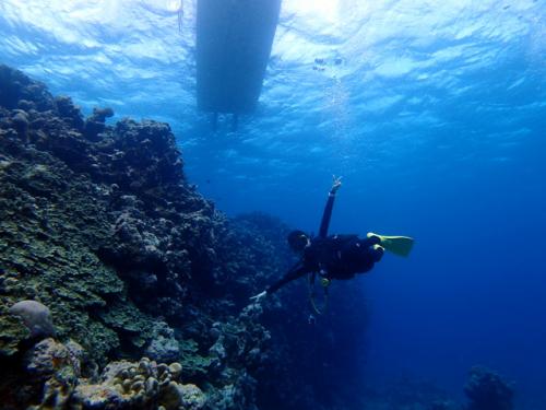 サイパン グロットシュノーケル