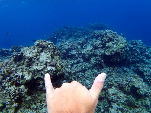 サイパン 島内観光