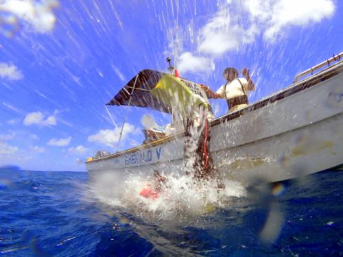 サイパン 体験ダイビング