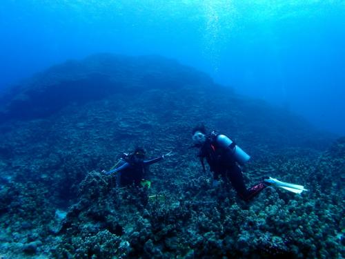 サイパン ダイビングライセンス